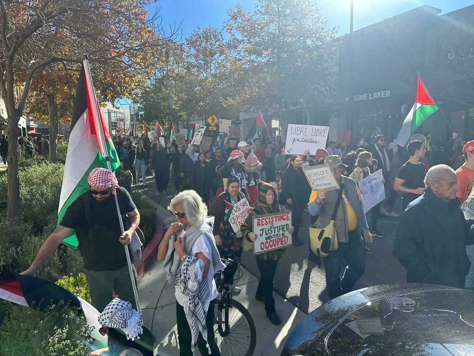 Hundreds of demonstrators rally for ceasefire in Walnut Creek